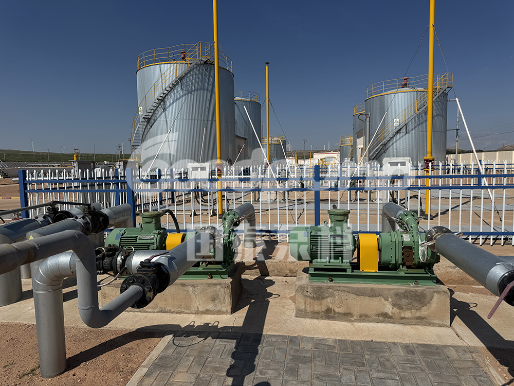 凸輪轉(zhuǎn)子泵讓重油輸送效率提升300%